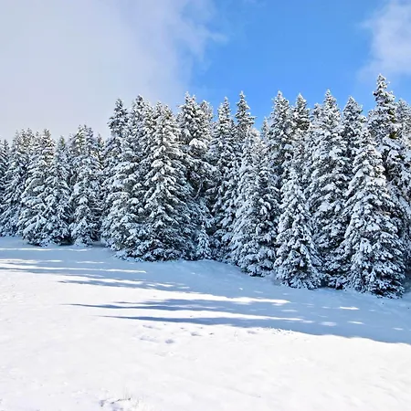 Studio Chamrousse, 1 Piece, 4 Personnes - Fr-1-340-277 דירה *