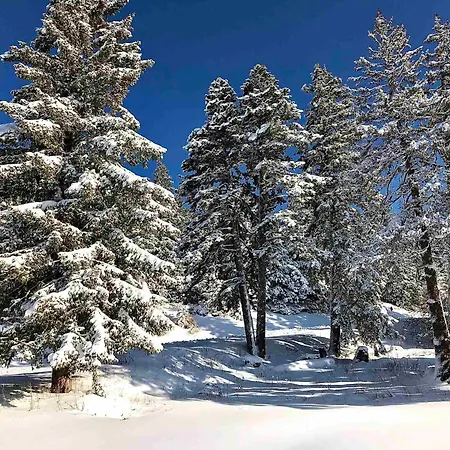 Studio Chamrousse, 1 Piece, 4 Personnes - Fr-1-340-277 דירה שמרוסה