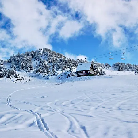 Studio Chamrousse, 1 Piece, 4 Personnes - Fr-1-340-277 샴루스